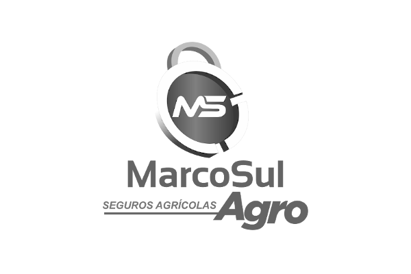 Marco Sul - Corretora Seguro Agrícola