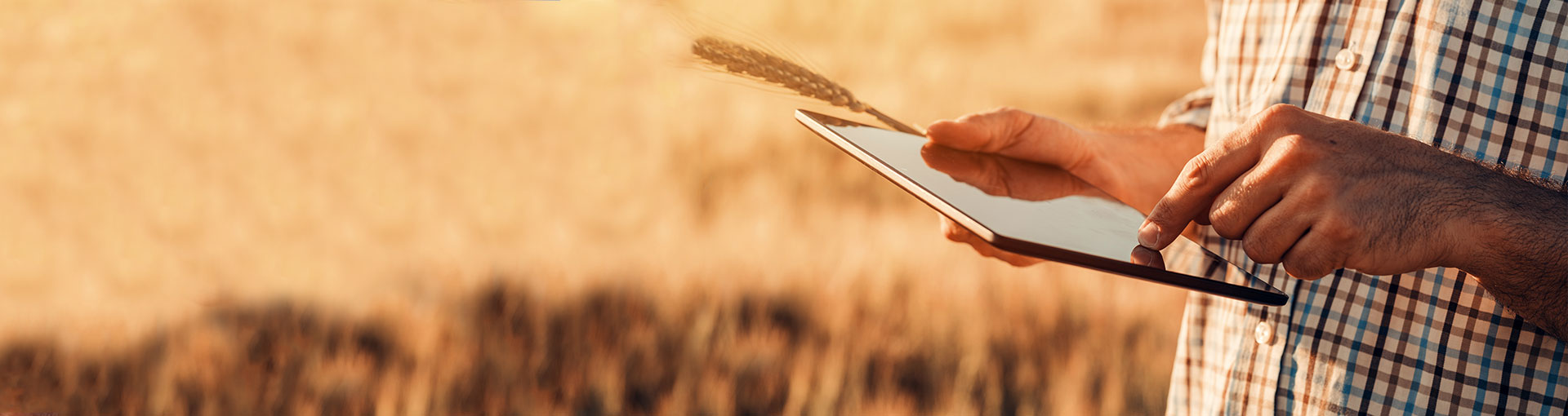 Aplicativos Online Para Agricultura e Propriedades Rurais
