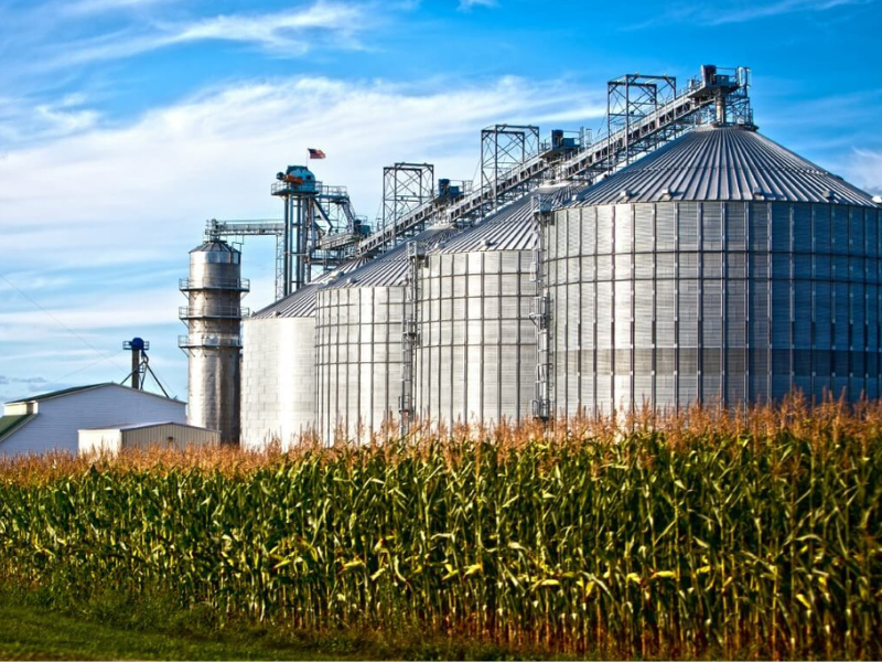 Cooperativismo no Agronegócio Brasileiro: Estrutura, Importância e Perspectivas Futuras