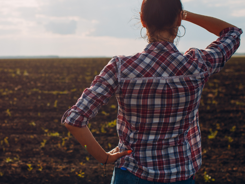 Seguro Agrícola: 7 Acertos que Todo Corretor Precisa Dominar para Crescer no Agro