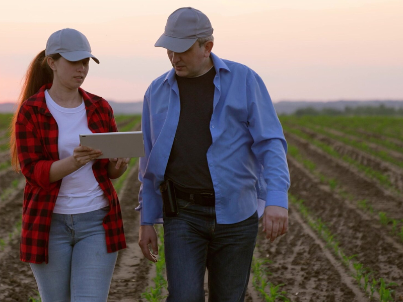 Análise de Cancelamentos – Soja 2025/2026