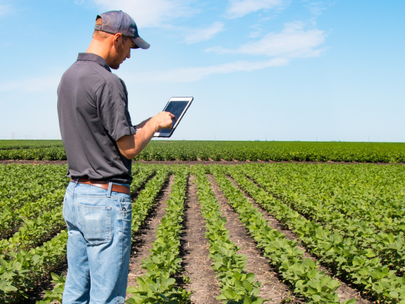 Como a Resolução CNSP 485 muda o Seguro Rural: ESG na prática para Corretores de Seguro Agrícola e Produtores Rurais