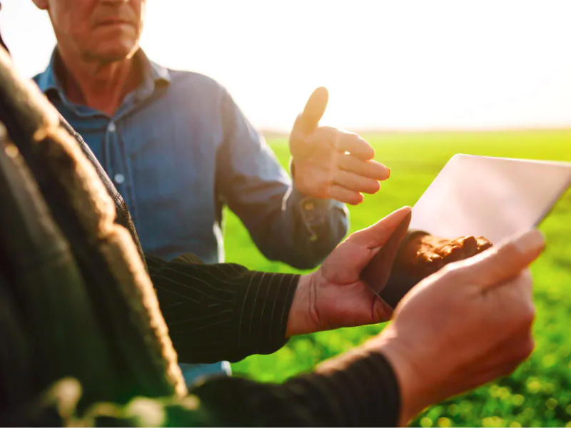 Regulação de Sinistros no Seguro Agrícola: Item x Média Geral