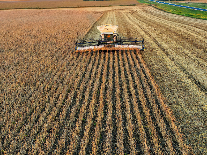 Seguros Agrícolas: Conheça os Principais Tipos e Aplicações