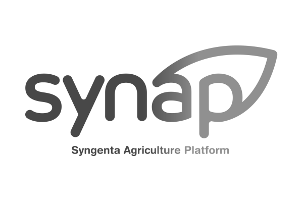 Synap - Seguro Agrícola