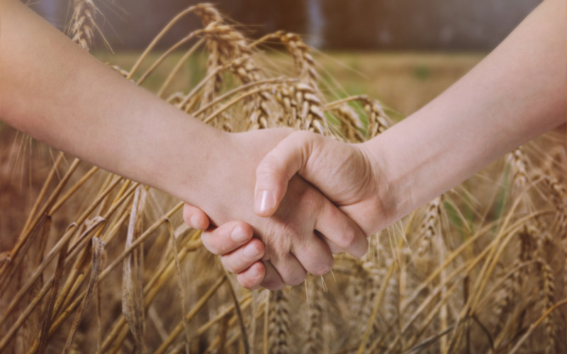 Fidelização de clientes seguro agrícola