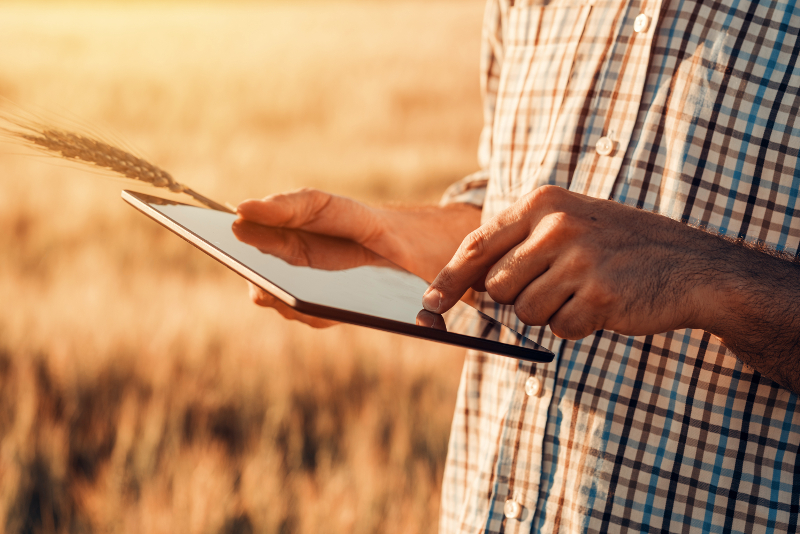 Seguro Agrícola Sistema Software Plataforma