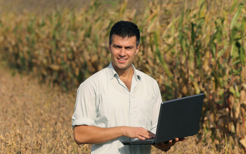 Simulação e contratação de seguro agrícola
